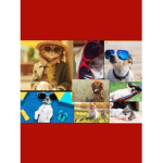My kittens1234Ke