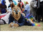 Furryluv group