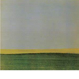 duster plain