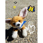 my fox cub club
