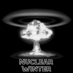 The Nuclear Winter