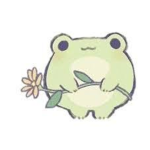 Aesthetic frog clothing group