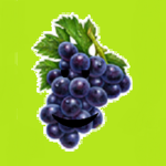 Chill Grapes