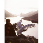 Hogwart’s rejects