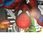 Spiders man o by