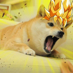 Survive doge the killer