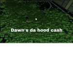 Dawn’s da hood cash