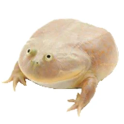 it is wednesday, my dudes! icon