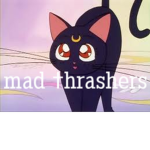 mad †hrashers