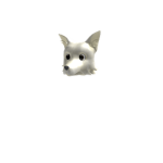 Savage Foxes