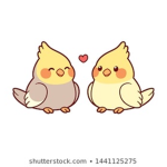 Birb Academy