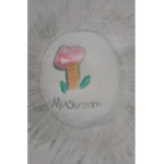 Mushroom Kingd0m