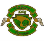 Holyhead Harpies Quidditch Team