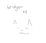 bridger xd