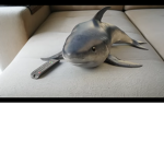Megolodons