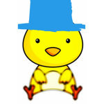 Ducks co