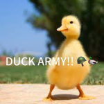 DUCKIES FOR LIFE!!