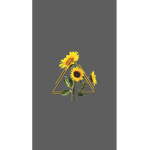 ~*The sunny sonflowers *~