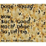 Doge Allied forces