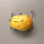 The Potato Cat Group :3