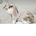 -•Florxia•-