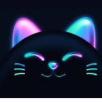 GattiBellissimi01