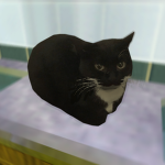 Evie’s UGC’S
