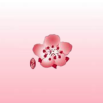 [CI] | China Airlines