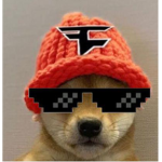 Doge herd