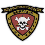 [3RD] 3rd Reconnaissance Battalion