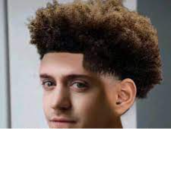 LOW TAPER FADE OBBY (BRAINROT)