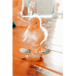Hhaniehaniee