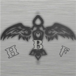 Hyper Bolic Fighters