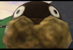 The stinky walruses