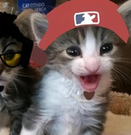 Maxieisa1000