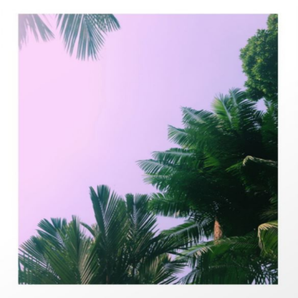 pink palms Roblox decal