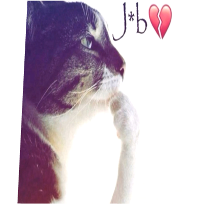 Job Cat Cape Roblox item
