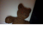 Team chocolate bear