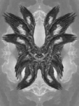 The Eye of Creation