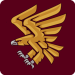 95th Air Assault Brigade