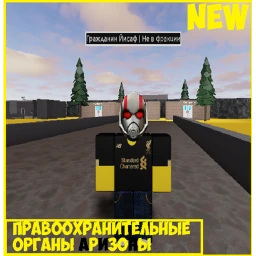 Правоохранительные Органы Аризоны icon