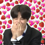 -wholesome k-pop fan group-