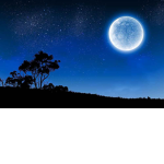 Blue moon Game studios