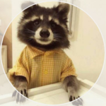 Raccoon Lads Production