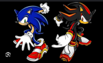 The sonic raiders