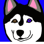Husky Leaders