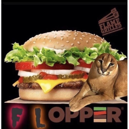 Flopper Whopper King (GRAND OPENING!)