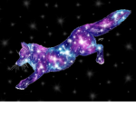 Birthday galaxy fox