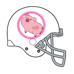 The New York Pig Stingers