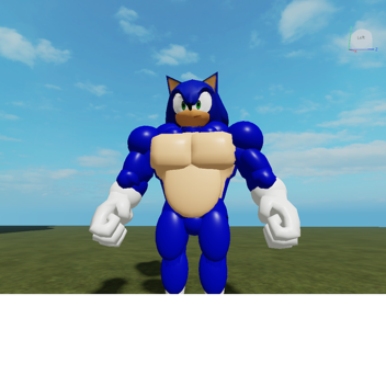 SURVIVE THE SONIC